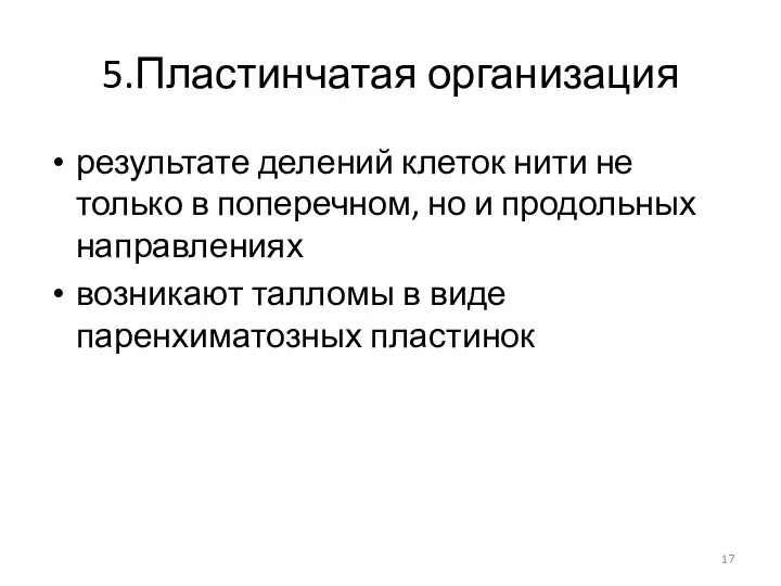 5.Пластинчатая организация результате делений клеток нити не только в поперечном, но