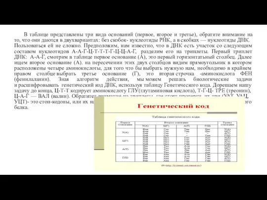 В таблице представлены три вида оснований (первое, второе и третье), обратите