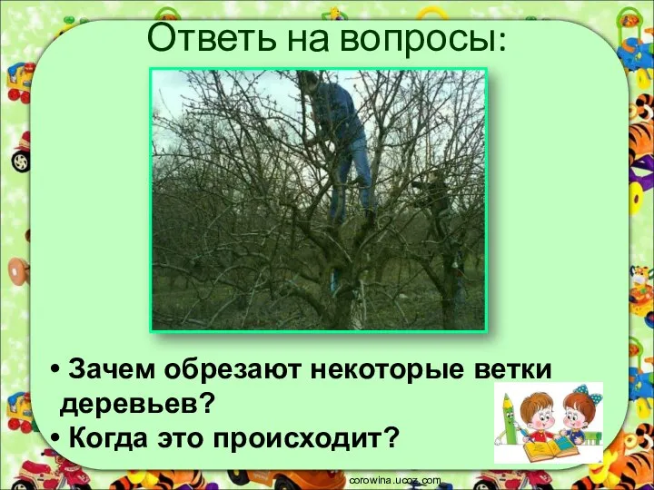 Ответь на вопросы: corowina.ucoz.com Зачем обрезают некоторые ветки деревьев? Когда это происходит?