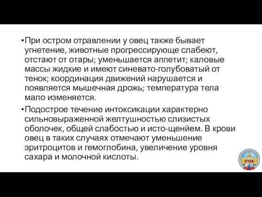 При остром отравлении у овец также бывает угнетение, живот­ные прогрессирующе слабеют,