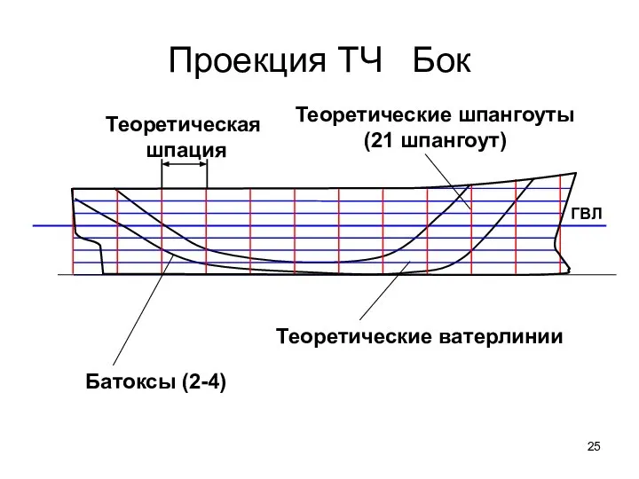 Проекция ТЧ Бок ГВЛ