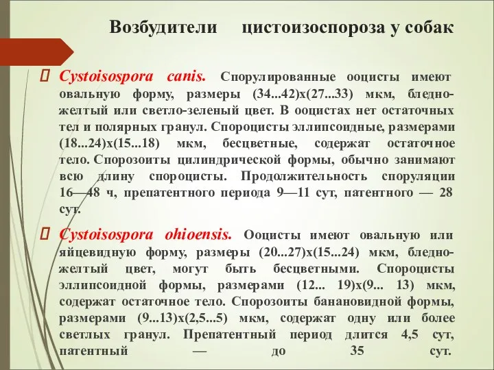 Возбудители цистоизоспороза у собак Cystoisospora canis. Спорулированные ооцисты имеют овальную форму,