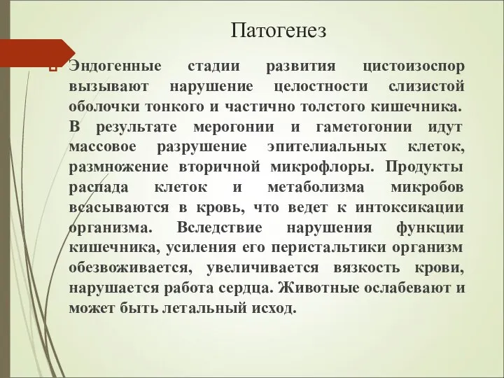 Патогенез Эндогенные стадии развития цистоизоспор вызывают нарушение целостности слизистой оболочки тонкого