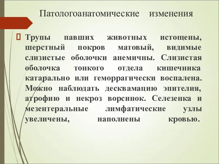 Патологоанатомические изменения Трупы павших животных истощены, шерстный покров матовый, видимые слизистые