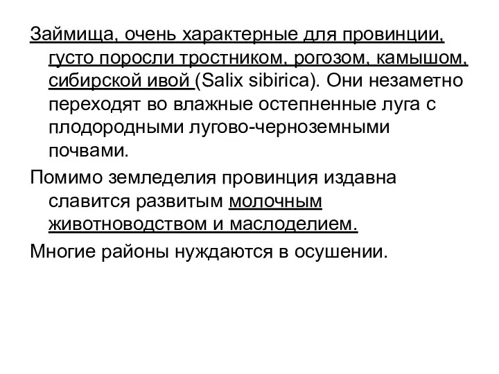 Займища, очень характерные для провинции, густо поросли тростником, рогозом, камышом, сибирской