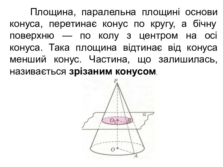 Площина, паралельна площині основи конуса, перетинає конус по кругу, а бічну