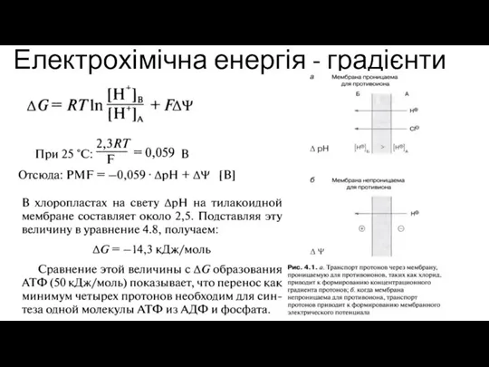 Електрохімічна енергія - градієнти