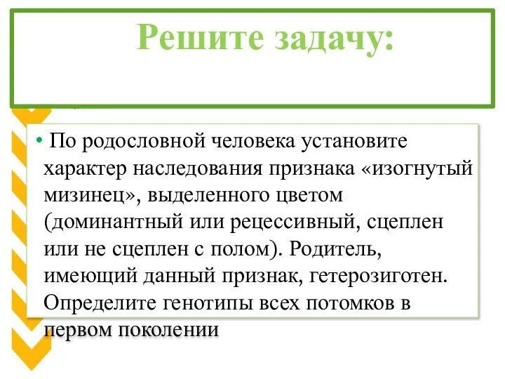 Решите задачу: По родословной человека установите характер наследования признака «изогнутый мизинец»,