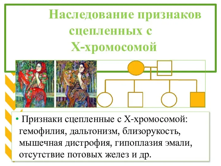 Наследование признаков сцепленных с Х-хромосомой Признаки сцепленные с Х-хромосомой: гемофилия, дальтонизм,