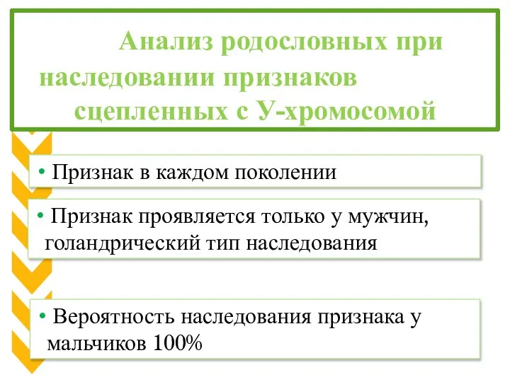 Анализ родословных при наследовании признаков сцепленных с У-хромосомой Признак в каждом