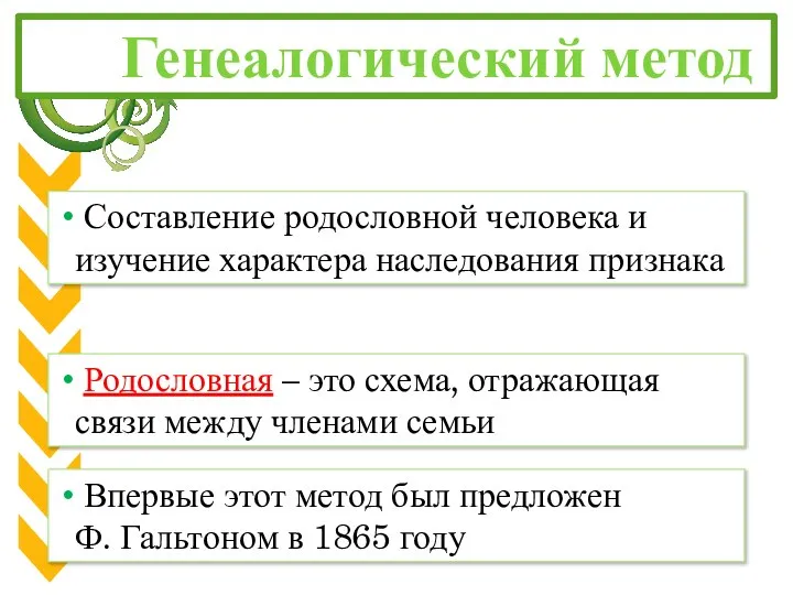 Генеалогический метод Составление родословной человека и изучение характера наследования признака Родословная