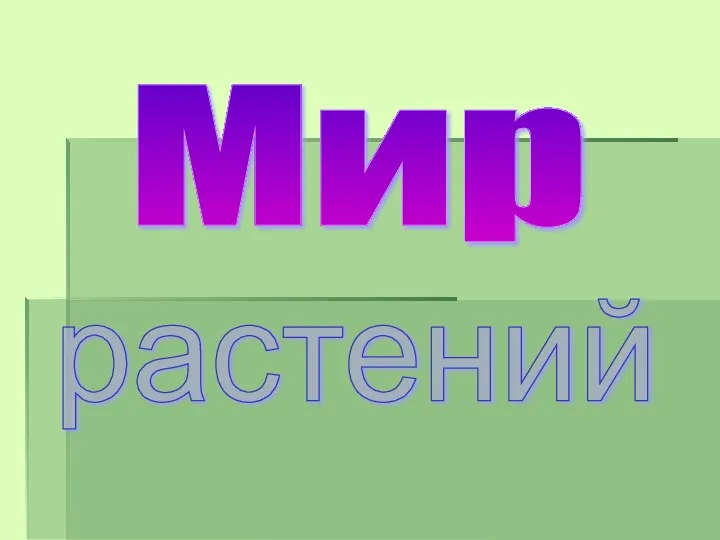 Мир растений