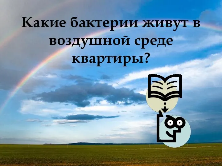 Какие бактерии живут в воздушной среде квартиры?