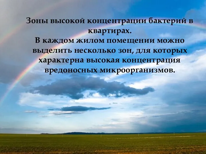 Зоны высокой концентрации бактерий в квартирах. В каждом жилом помещении можно