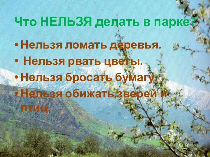 Что НЕЛЬЗЯ делать в парке? Нельзя ломать деревья. Нельзя рвать цветы.