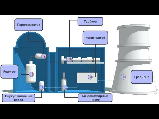 1 2 3 4 5 6 7 Турбина Конденсатор Парогенератор Реактор Градирня Циркуляционный насос Конденсаторный насос