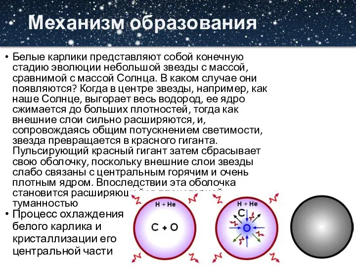 Механизм образования Белые карлики представляют собой конечную стадию эволюции небольшой звезды