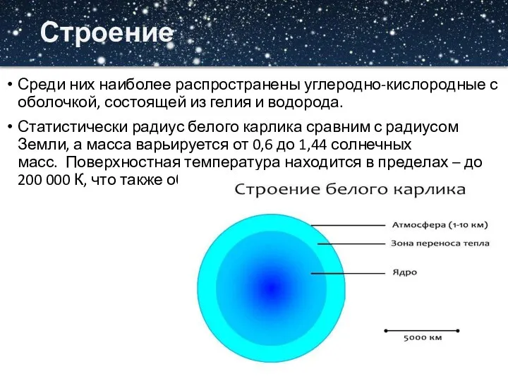 Строение Среди них наиболее распространены углеродно-кислородные с оболочкой, состоящей из гелия