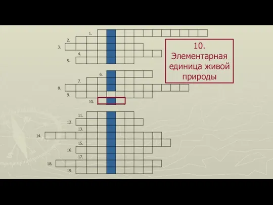 10. Элементарная единица живой природы