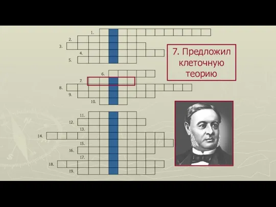 7. Предложил клеточную теорию