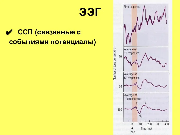 ЭЭГ ССП (связанные с событиями потенциалы)