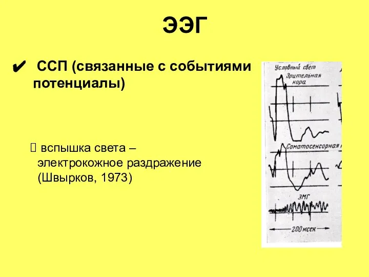 ЭЭГ ССП (связанные с событиями потенциалы) вспышка света – электрокожное раздражение (Швырков, 1973)