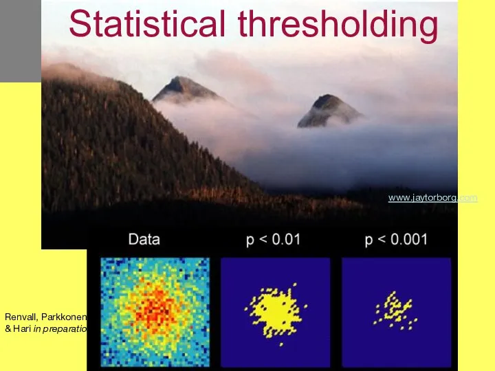 www.jaytorborg.com Statistical thresholding Renvall, Parkkonen & Hari in preparation