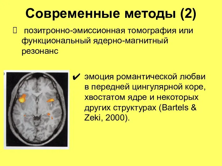 Современные методы (2) позитронно-эмиссионная томография или функциональный ядерно-магнитный резонанс эмоция романтической