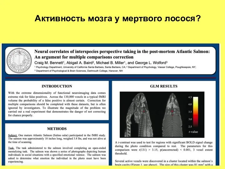 Активность мозга у мертвого лосося?