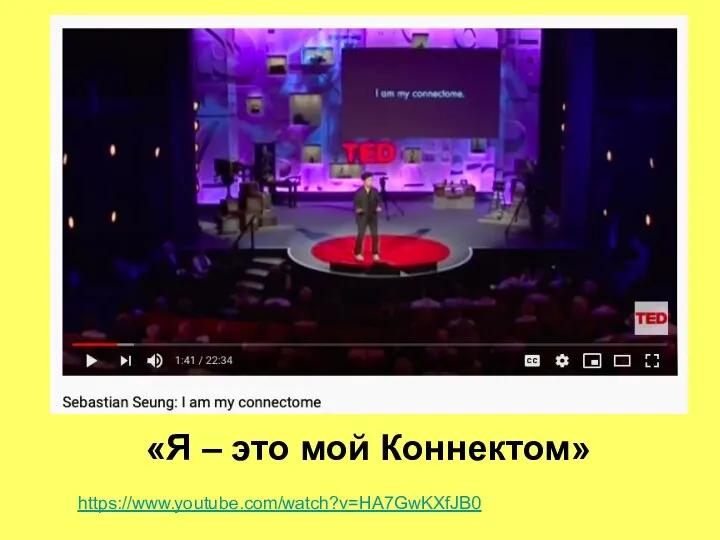 «Я – это мой Коннектом» https://www.youtube.com/watch?v=HA7GwKXfJB0