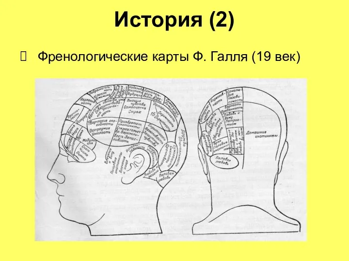 История (2) Френологические карты Ф. Галля (19 век)