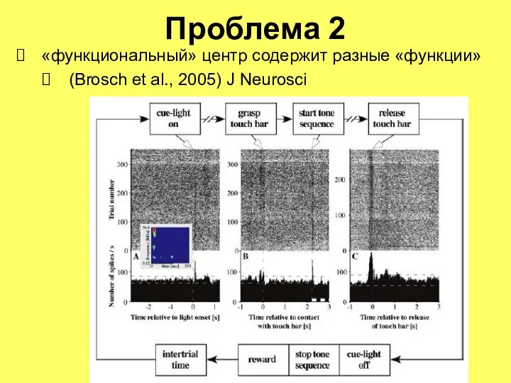 Проблема 2 «функциональный» центр содержит разные «функции» (Brosch et al., 2005) J Neurosci