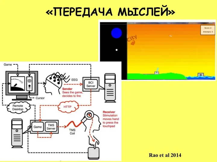 «ПЕРЕДАЧА МЫСЛЕЙ» Rao et al 2014