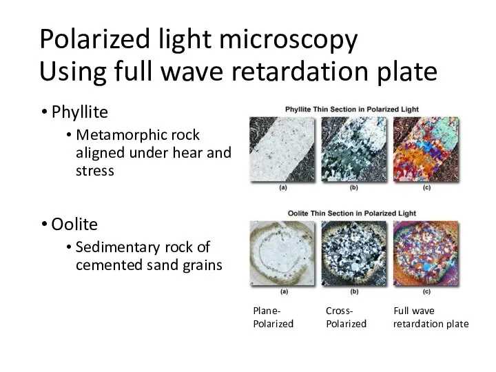 Polarized light microscopy Using full wave retardation plate Phyllite Metamorphic rock