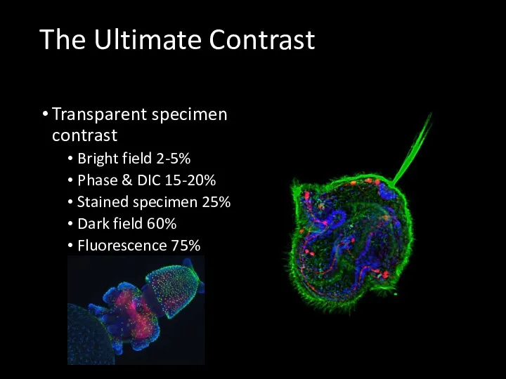 The Ultimate Contrast Transparent specimen contrast Bright field 2-5% Phase &