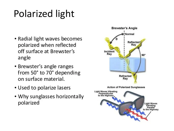Polarized light Radial light waves becomes polarized when reflected off surface