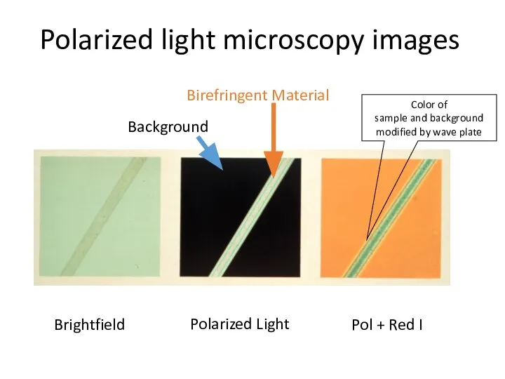 Polarized light microscopy images Brightfield Background Birefringent Material Polarized Light Pol