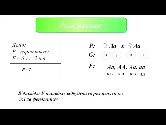 Дано: Р - коротковухі F – 6 к.в, 2 н.в. P: