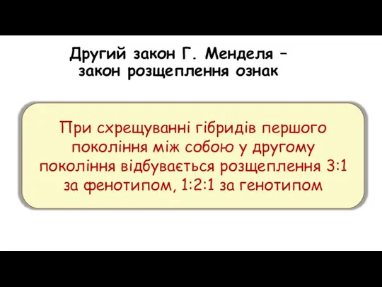 Другий закон Г. Менделя – закон розщеплення ознак При схрещуванні гібридів