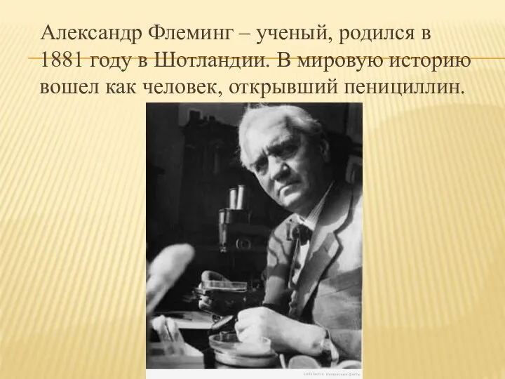 Александр Флеминг – ученый, родился в 1881 году в Шотландии. В