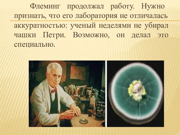 Флеминг продолжал работу. Нужно признать, что его лаборатория не отличалась аккуратностью: