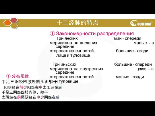 十二经脉的特点 ① 分布规律： 手足三阳经四肢外侧头面躯干 阳明经在前少阳经在中太阳经在后 手足三阴经四肢内侧、躯干 太阴经在前厥阴经在中少阴经在后 ① Закономерности распределения Три