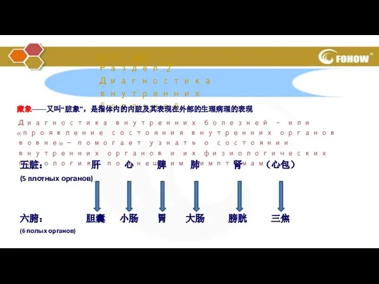 第二节 藏象 Раздел 2 Диагностика внутренних болезней 藏象——又叫“脏象”，是指体内的内脏及其表现在外部的生理病理的表现 Диагностика внутренних болезней