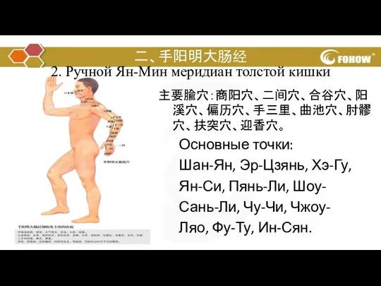 二、手阳明大肠经 主要腧穴：商阳穴、二间穴、合谷穴、阳溪穴、偏历穴、手三里、曲池穴、肘髎穴、扶突穴、迎香穴。 Основные точки: Шан-Ян, Эр-Цзянь, Хэ-Гу, Ян-Си, Пянь-Ли, Шоу- Сань-Ли,