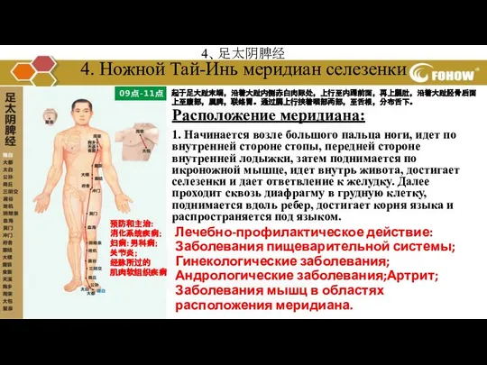 起于足大趾末端，沿着大趾内侧赤白肉际处，上行至内踝前面，再上腿肚，沿着大趾胫骨后面上至腹部，属脾，联络胃。通过膈上行挟着咽部两部，至舌根，分布舌下。 预防和主治： 消化系统疾病； 妇病：男科病； 关节炎； 经脉所过的 肌肉软组织疾病 4、足太阴脾经 4. Ножной Тай-Инь