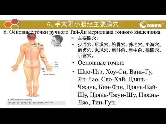 6、手太阳小肠经主要腧穴 主要腧穴： 少泽穴、后溪穴、腕骨穴、养老穴、小海穴、肩贞穴、秉风穴、肩外俞、肩中俞、颧髎穴、听宫穴。 6. Основные точки ручного Тай-Ян меридиана тонкого кишечника