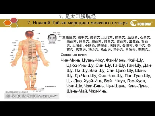 7、足太阳膀胱经 7. Ножной Тай-ян меридиан мочевого пузыря 主要腧穴：睛明穴、攒竹穴、风门穴、肺俞穴、厥阴俞、心俞穴、膈俞穴、肝俞穴、胆俞穴、脾俞穴、胃俞穴、三焦俞、肾俞穴、大肠俞、小肠俞、膀胱俞、次髎穴、会阴穴、委中穴、膏肓穴、志室穴、秩边穴、承山穴、昆仑穴、申脉穴、至阴穴。 Основные точки: Чин-Минь,