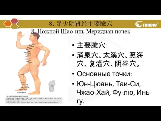 主要腧穴： 涌泉穴、太溪穴、照海穴、复溜穴、阴谷穴。 Основные точки: Юн-Цюань, Таи-Си, Чжао-Хай, Фу-лю, Инь-гу. 8、足少阴肾经主要腧穴 8. Ножной Шао-инь Меридиан почек