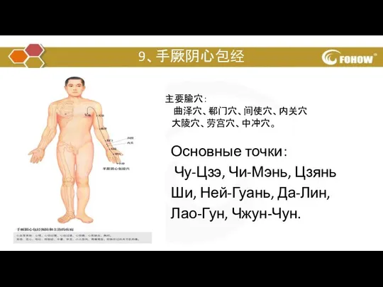 9、手厥阴心包经 主要腧穴： 曲泽穴、郗门穴、间使穴、内关穴 大陵穴、劳宫穴、中冲穴。 Основные точки： Чу-Цзэ, Чи-Мэнь, Цзянь Ши, Ней-Гуань, Да-Лин, Лао-Гун, Чжун-Чун.