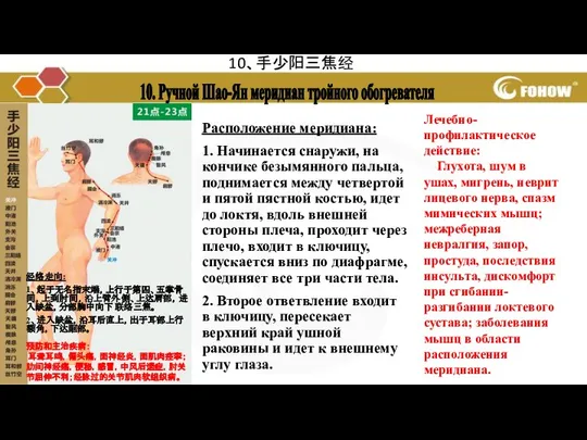 10、手少阳三焦经 10. Ручной Шао-Ян меридиан тройного обогревателя 经络走向: 1、起于无名指末端，上行于第四、五掌骨间，上到肘间，沿上臂外侧、上达肩部，进入缺盆，分部胸中向下联络三焦。 2、进入缺盆，沿耳后直上，出于耳部上行额角，下达眶部。 预防和主治疾病：